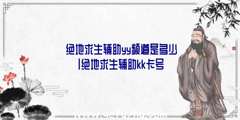 「绝地求生辅助yy频道是多少」|绝地求生辅助kk卡号